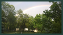 Rainbow Over Whispering Oaks